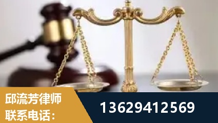 日照-疑难刑事案件处理